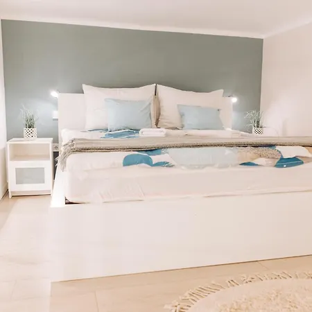 Chic Loft With Toucan Wallpaper And Airy Vibes Daire Budapeşte